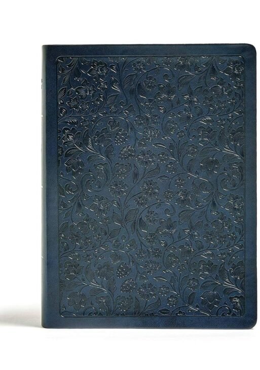 CSB Life Connections Study Bible