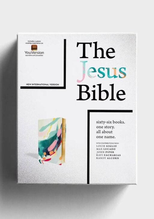 NIV Jesus Bible Artist Edition