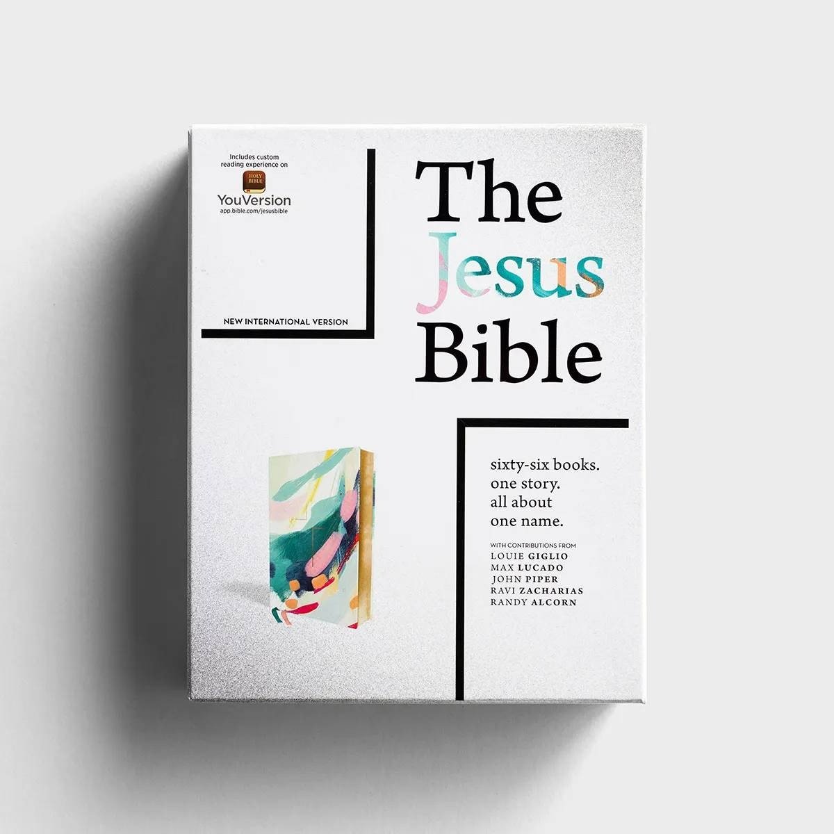 NIV Jesus Bible Artist Edition