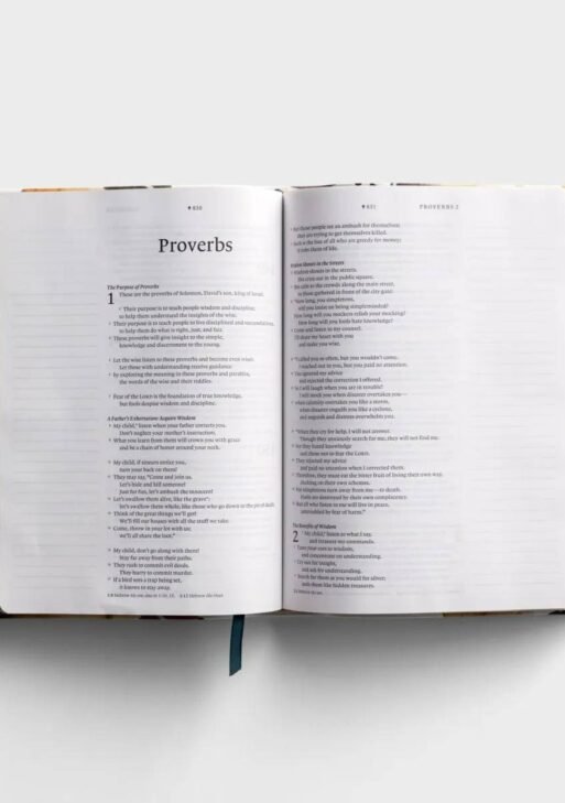 NLT Day spring collection Wide Margin Bible