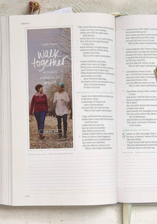 In Courage Women's Devotional Bible