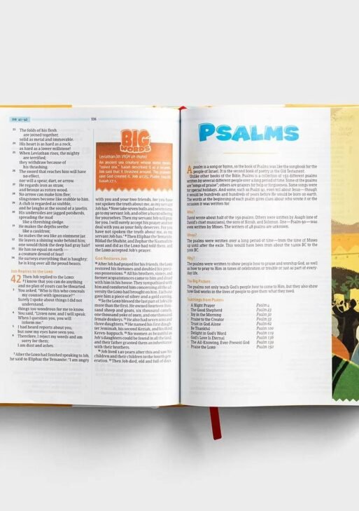 CSB One Big Story Bible