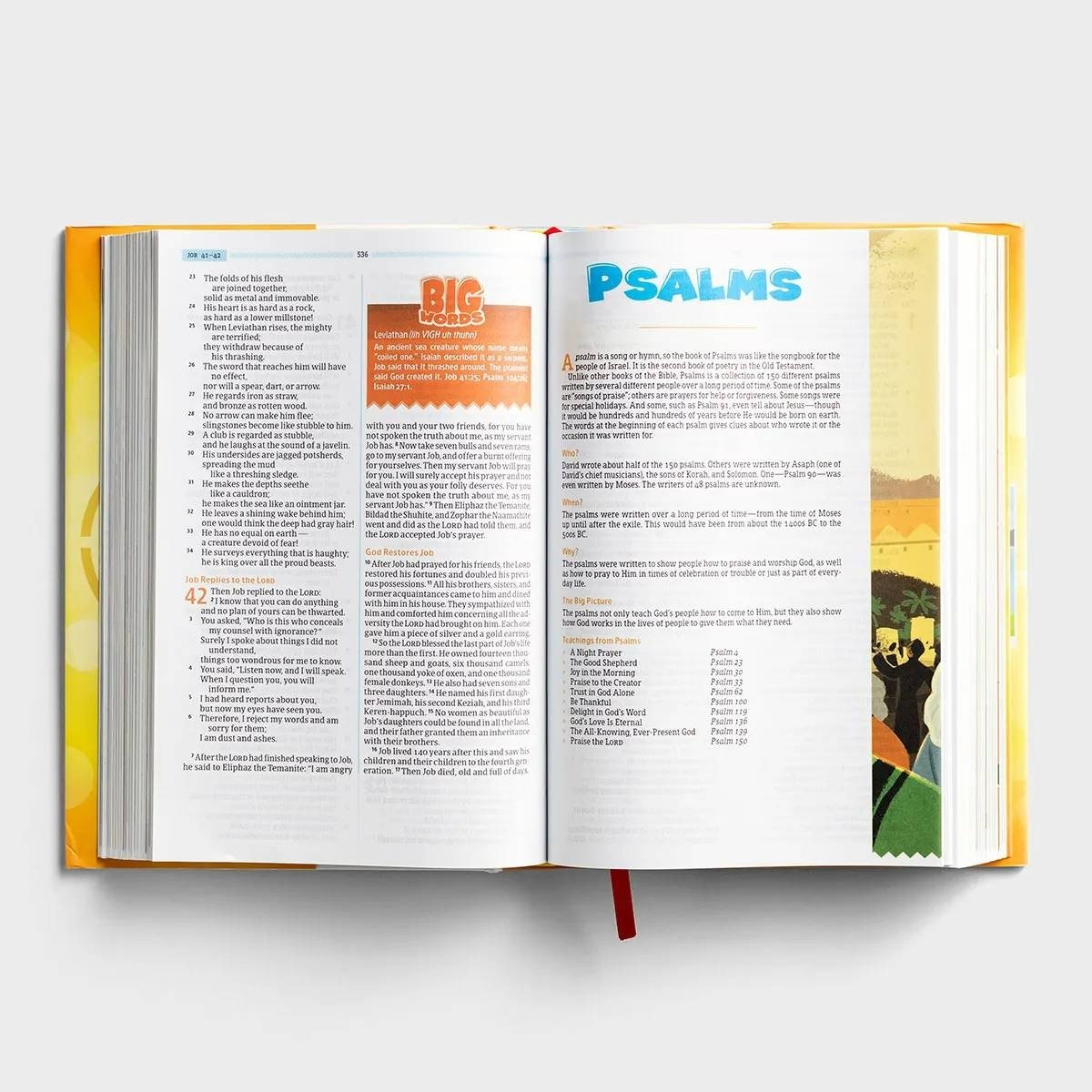 CSB One Big Story Bible