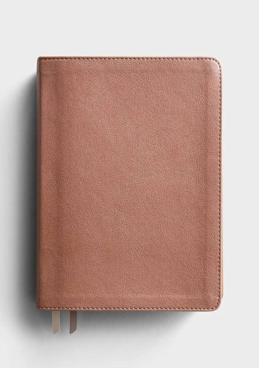 CSB She Reads Truth Bible Rosegold (Non Index)