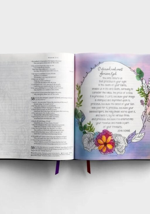 NLT Inspire Prayer Creative Journaling Bible Giant print