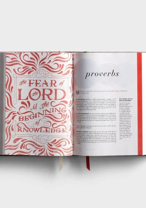 CSB She Reads Truth Grey linen Non Index