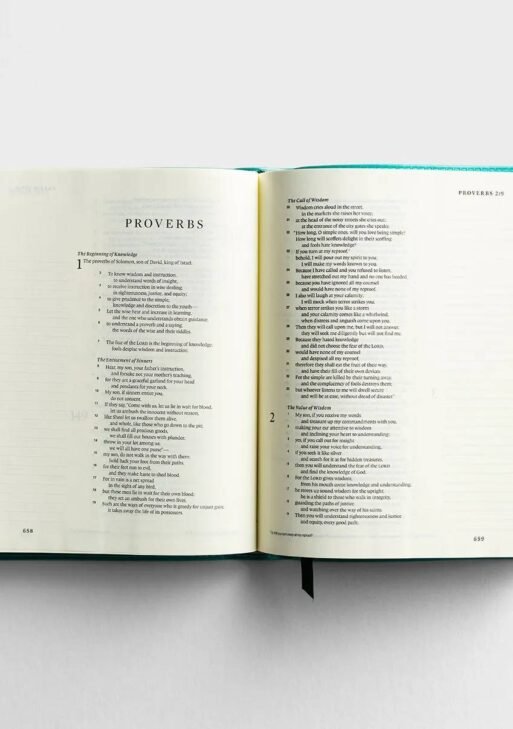 ESV Single Column Journaling Bible