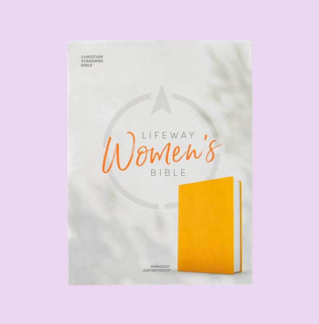 Women’s Bibles